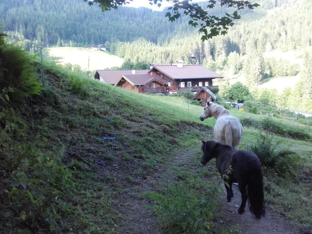 Neudegghof Apartment Eben Im Pongau Bagian luar foto